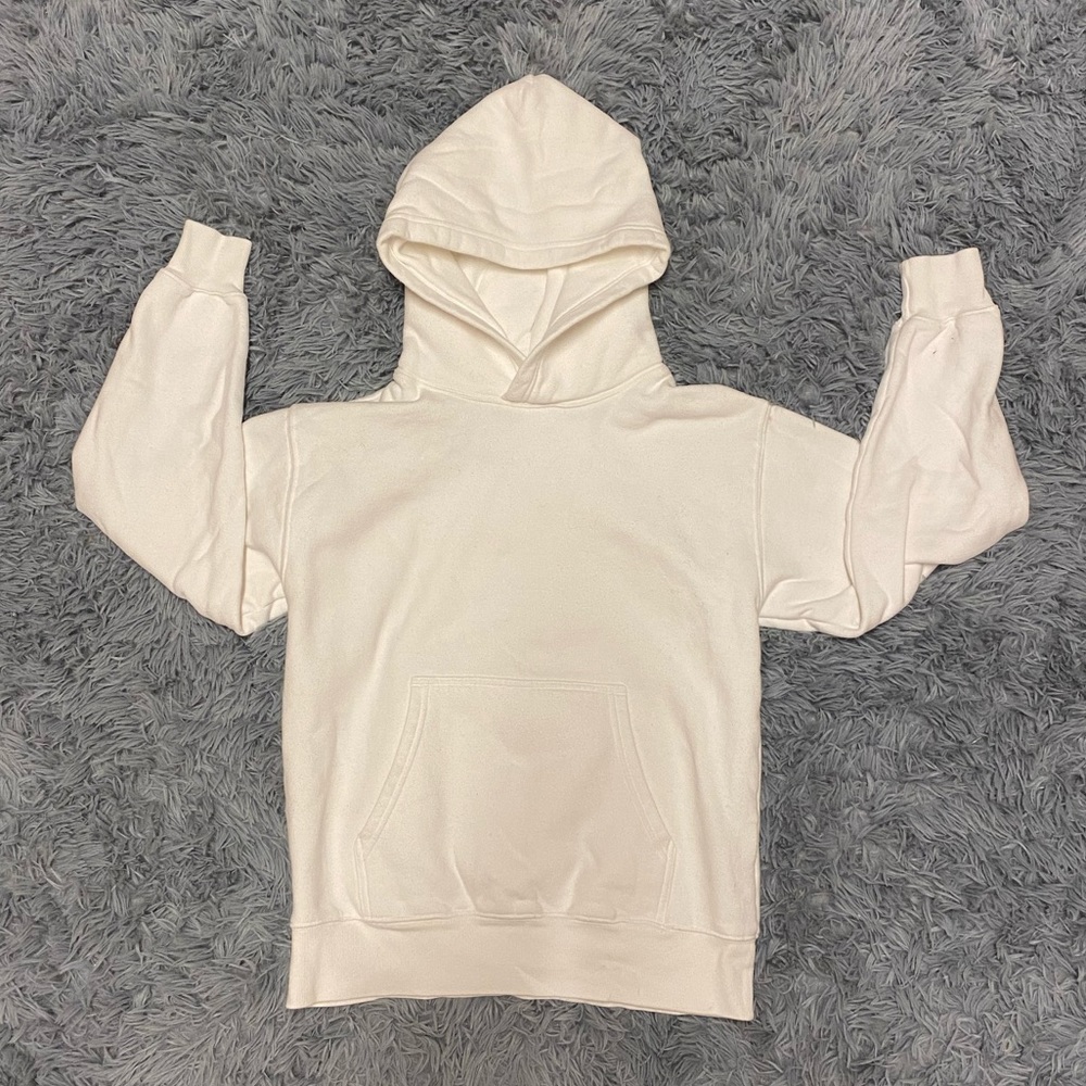 Aritzia Cozy Fleece Perfect Hoodie